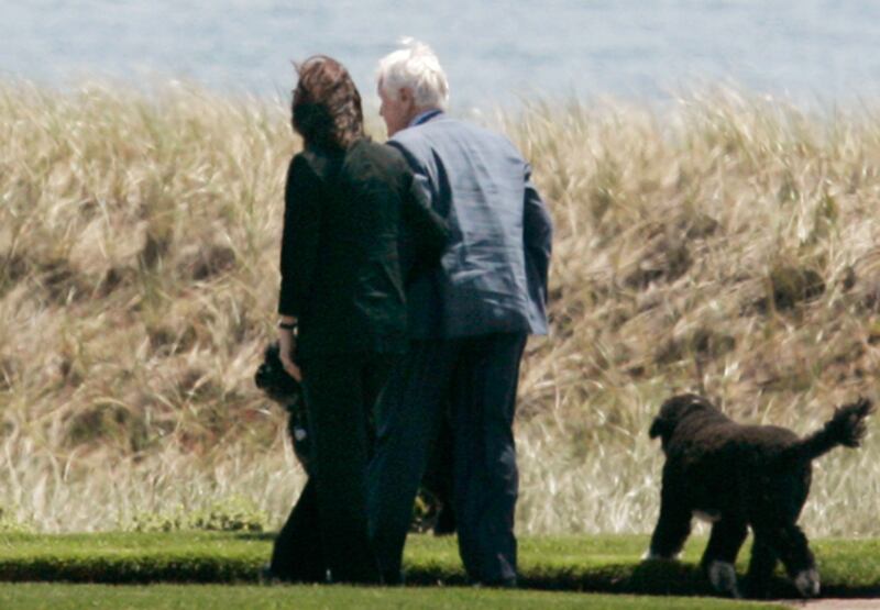 galleries/2009/02/18/the-senate-s-lion-as-a-young-cub/kennedy-vicki_mn4nrv