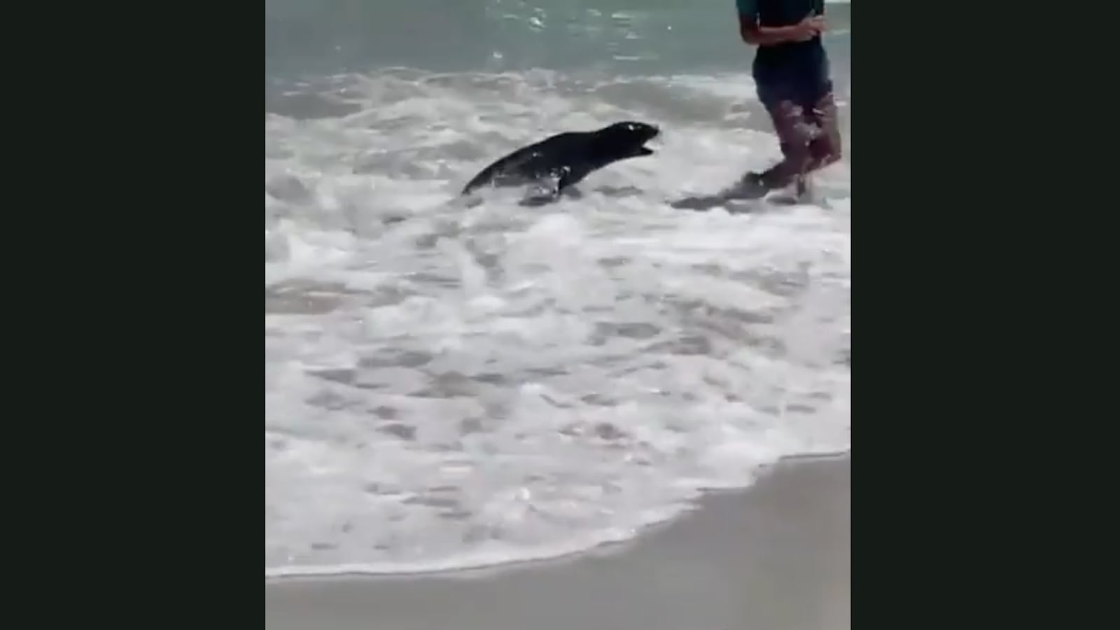 Screen_Shot_2023-01-05_at_9.21.42_AM_x2jgmd