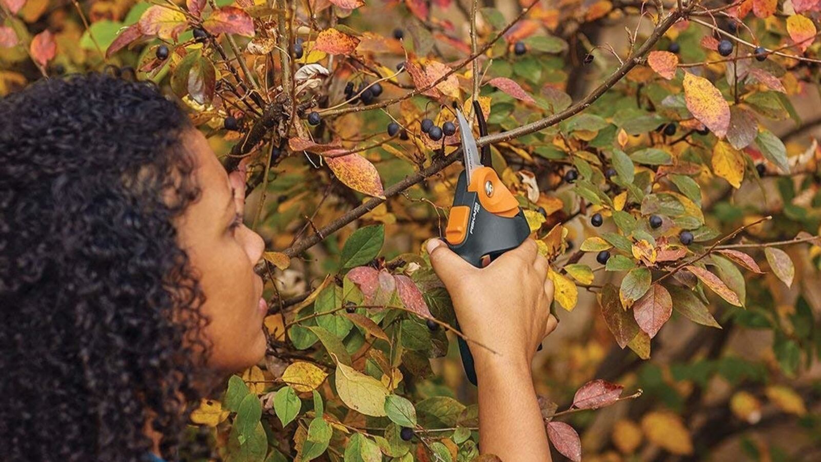 716yCFny9PL._AC_SL1000__fotwxr