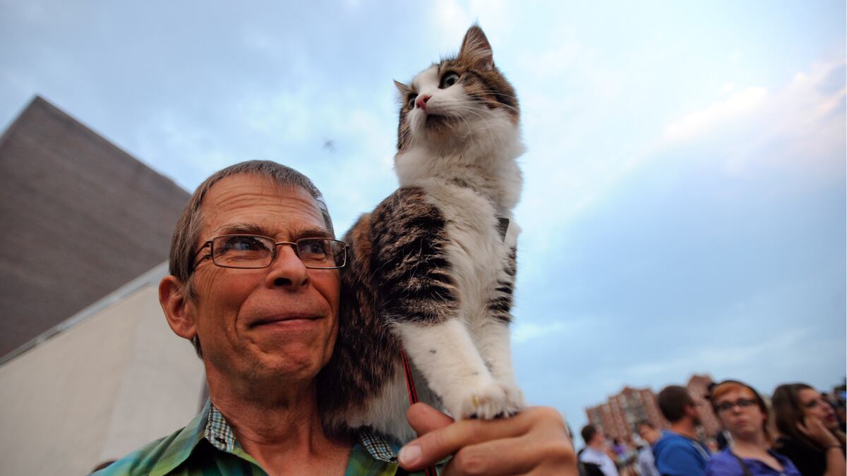 cheats/2012/09/01/cat-video-festival-in-minneapolis/cat-video-mn-festival-cheat_wwfh7d