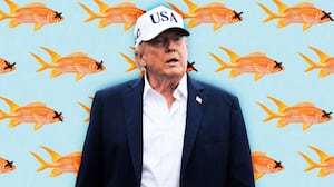A photo illustration of Donald Trump and goldfish.