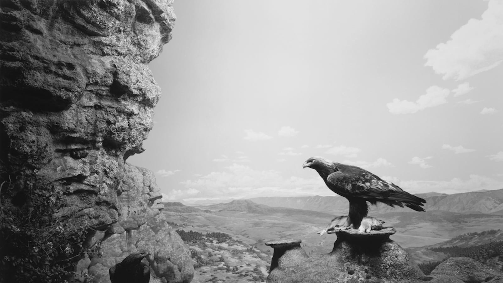 articles/2014/01/15/hiroshi-sugimoto-at-601-artspace-is-the-daily-pic-by-blake-gopnik/sugimoto-daily-pic_azbbkb