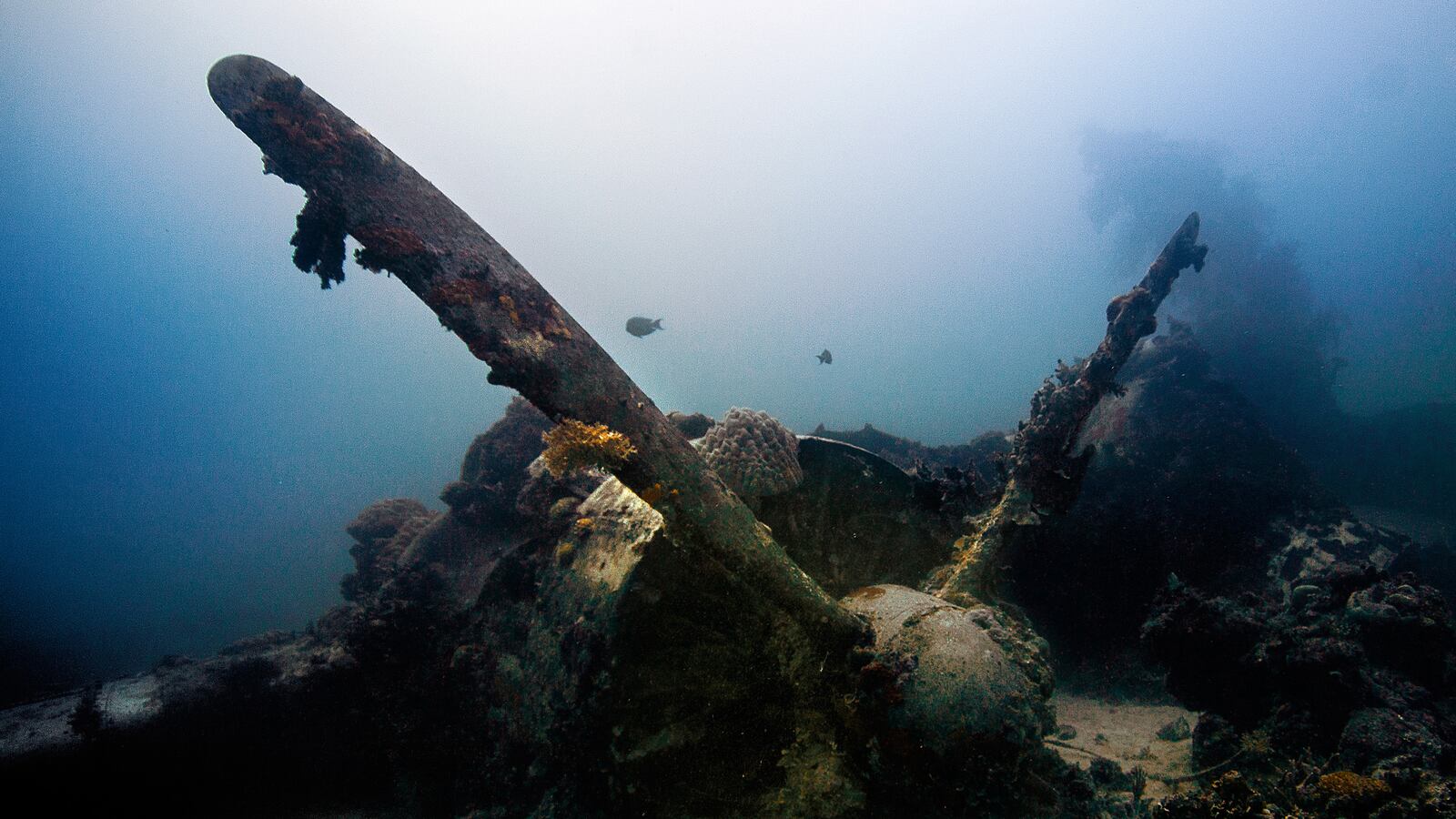 articles/2014/05/14/a-wwii-battle-frozen-in-time/140513-strochlic-waw-tease_yzrwlj