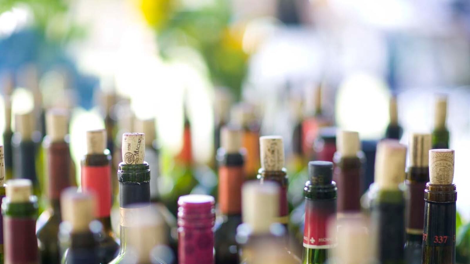 articles/2011/08/22/karen-macneil-of-bottlenotes-com-on-the-gender-difference-in-wine/macneil-wine-menin_fhtihy