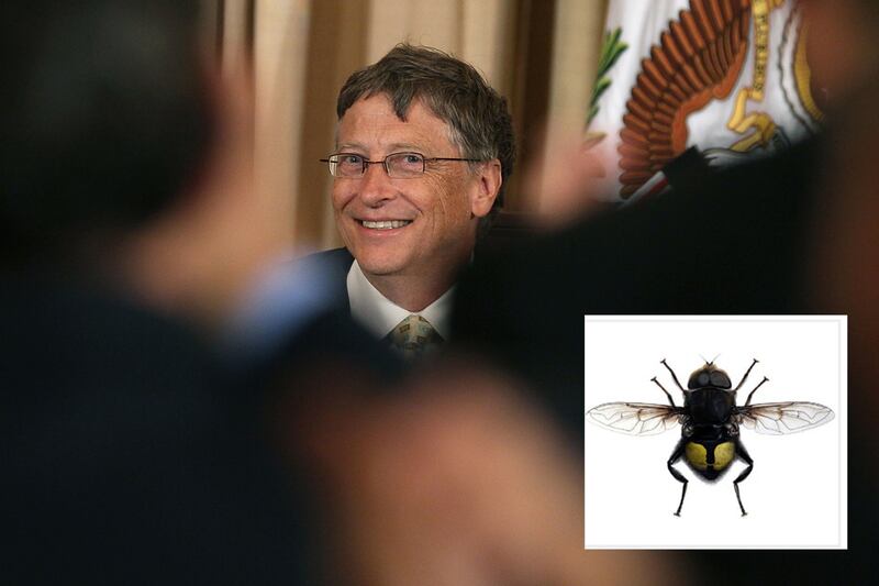 galleries/2012/01/05/hasselhoff-crab-and-10-more-species-named-after-celebrities-photos/species-named-after-celebs-gates_defapc