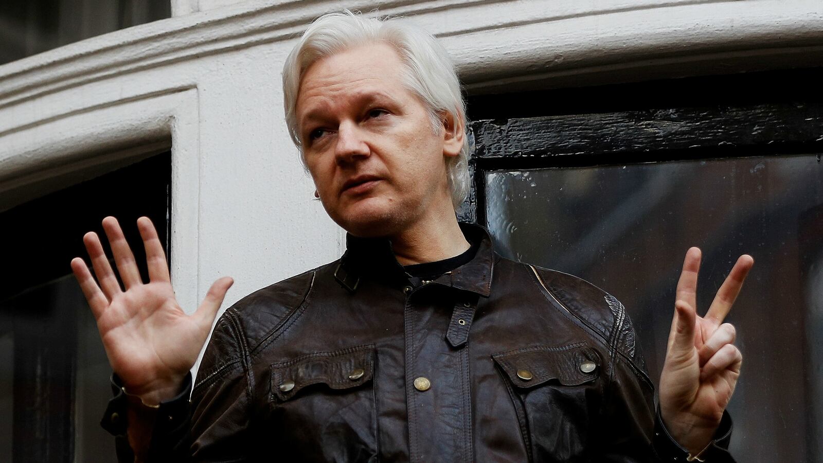assange_zoeweo