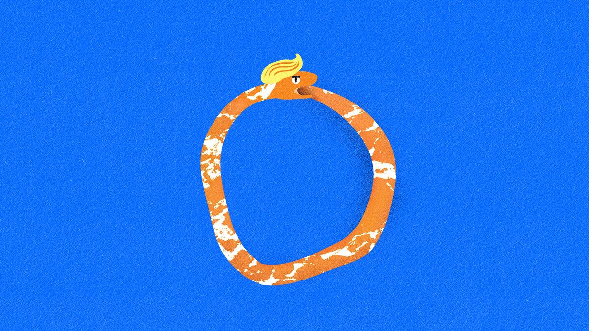 An illustration of an orange snake eating its tail that looks like Donald Trump.