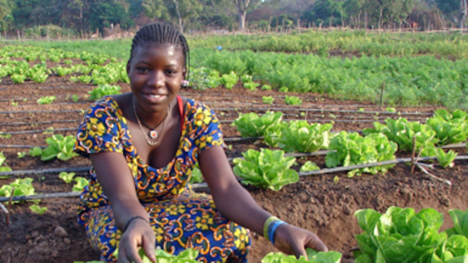 articles/2010/09/23/clinton-global-initiative-leticia-brenyahs-inspiring-story/streib-cgi-tools_129003_eahoiz