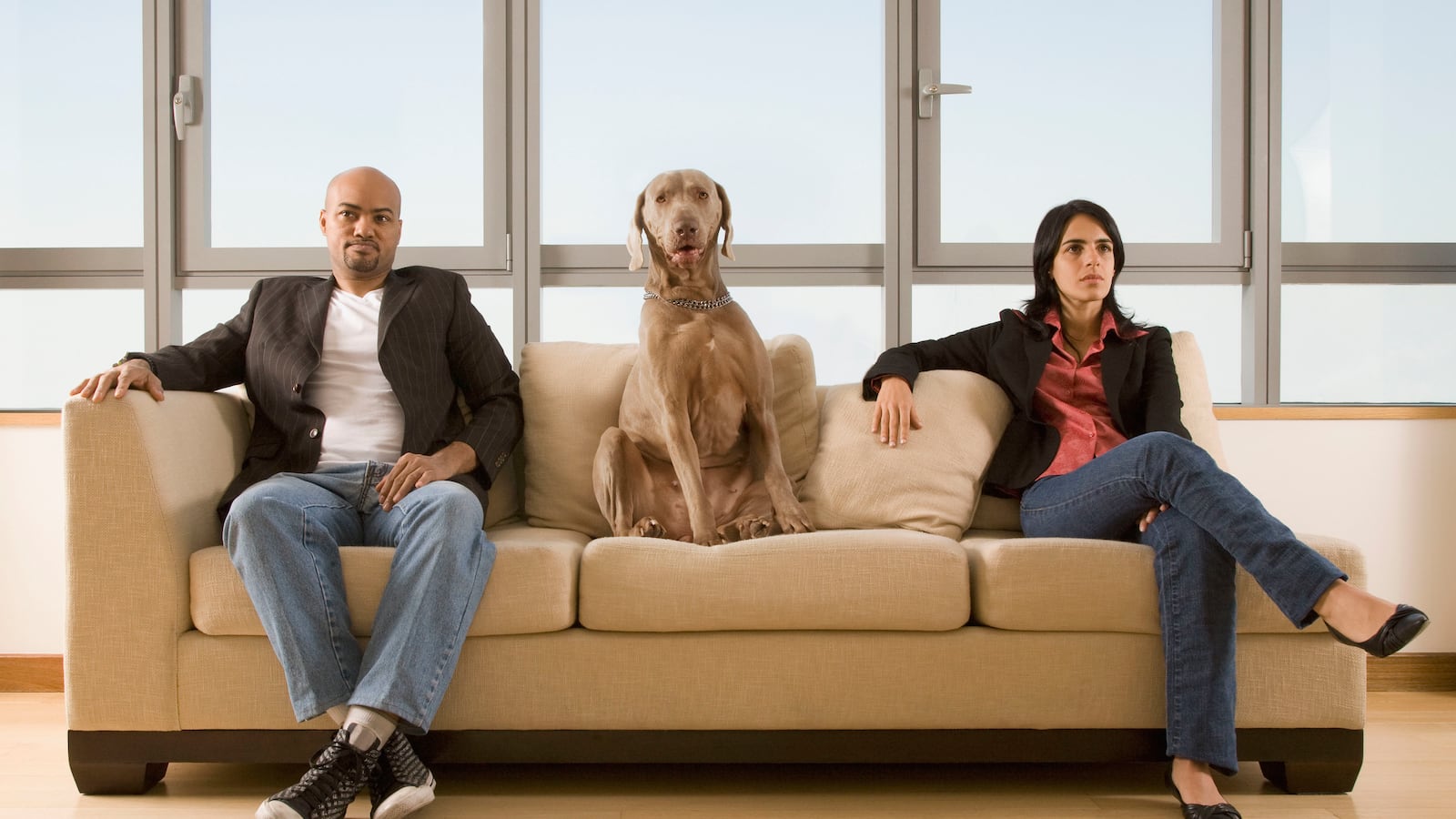 articles/2014/06/20/divorce-is-going-to-the-dogs-literally/140619-goff-pet-custody-tease_e21ubq