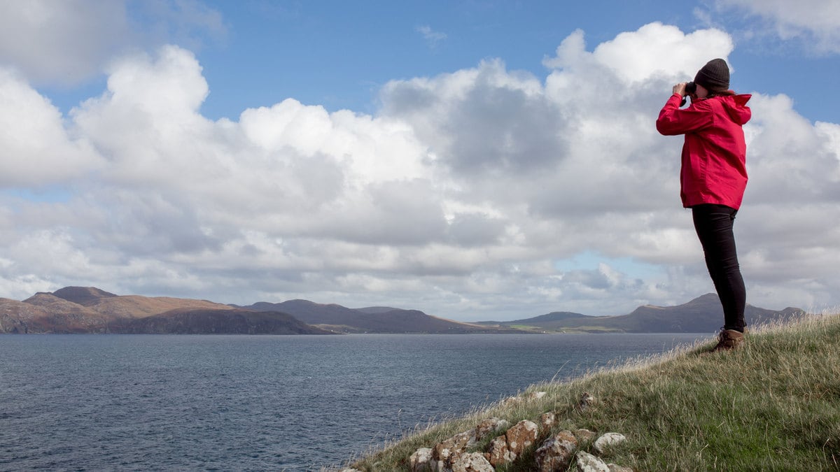 210423-marine-safari-hero_uk6nzk