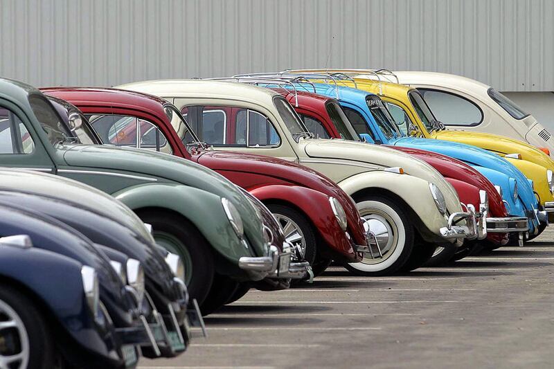 galleries/2012/01/12/ten-things-more-popular-than-rick-perry-photos/more-popular-than-rick-perry-the-beetle-update_hxqrod