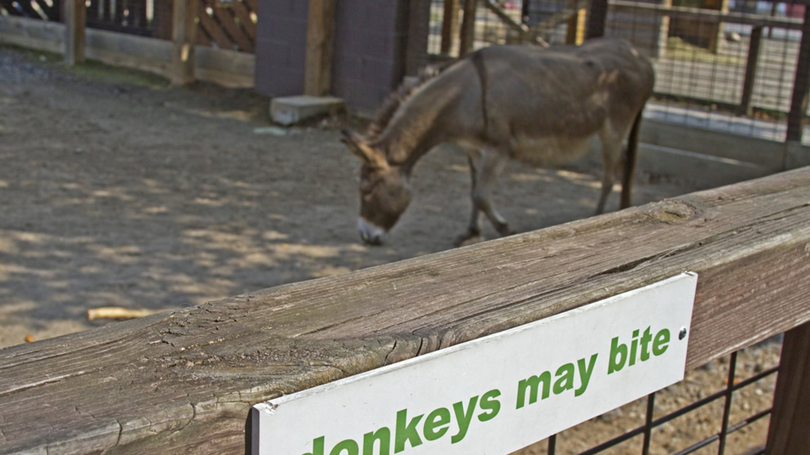 articles/2014/09/09/why-we-need-a-left-wing-tea-party/140908-kohn-dem-tease_svbszc