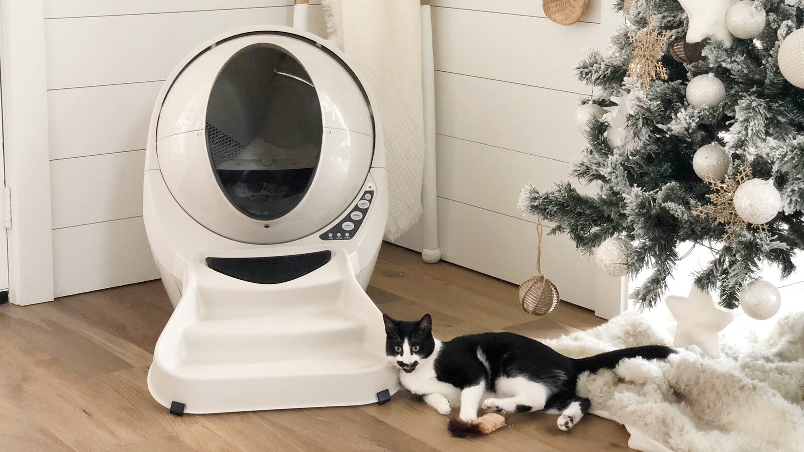 Litter-Robot_2560_x_1440_Holiday_no2vfz
