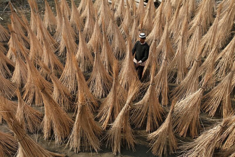 galleries/2015/01/03/the-week-in-pictures-january-3-2015-photos/150102-WIP-10_cbv5km