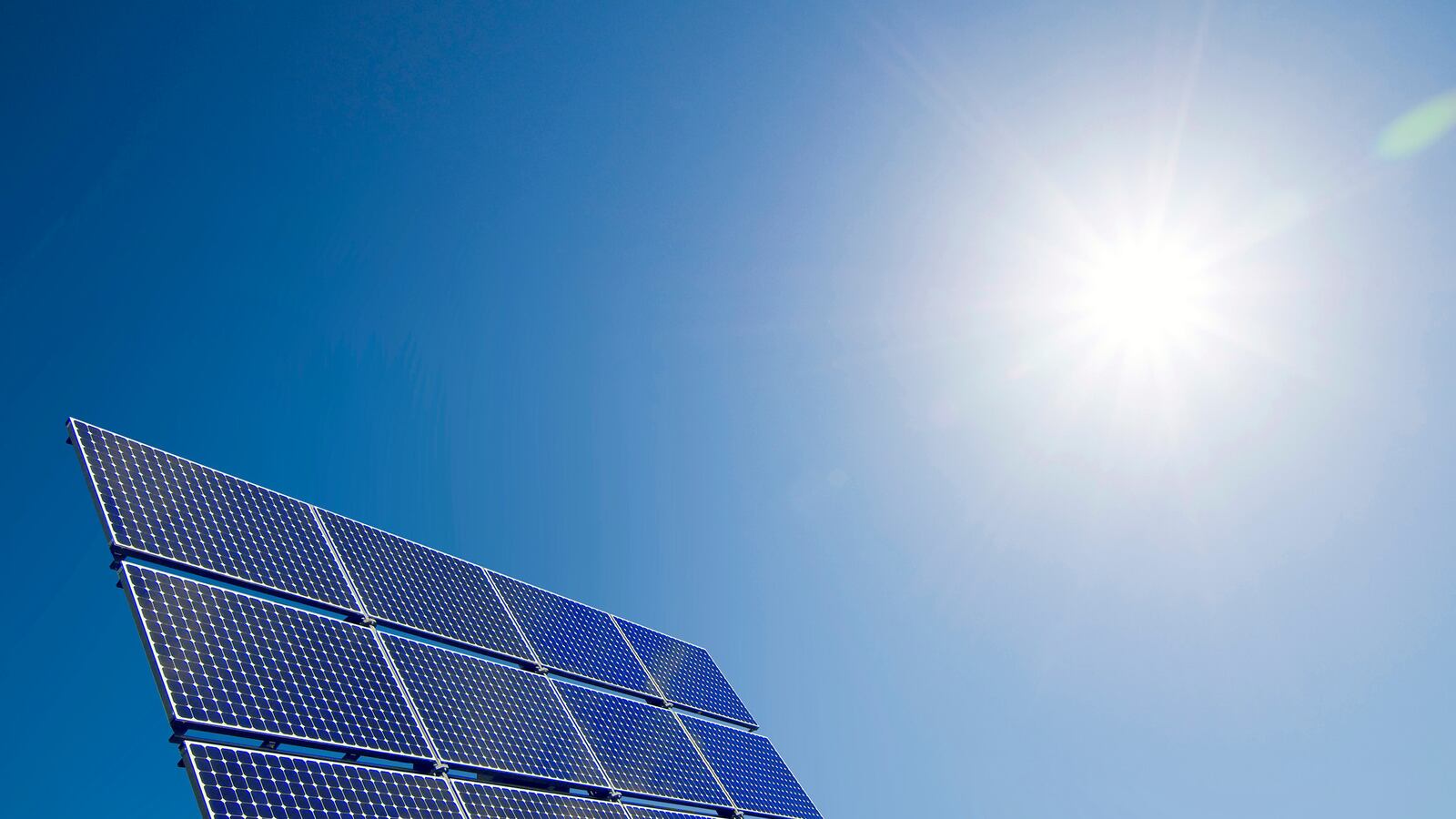 articles/2014/10/28/charging-up/141028-shell-gross-charge-tease_hv990o