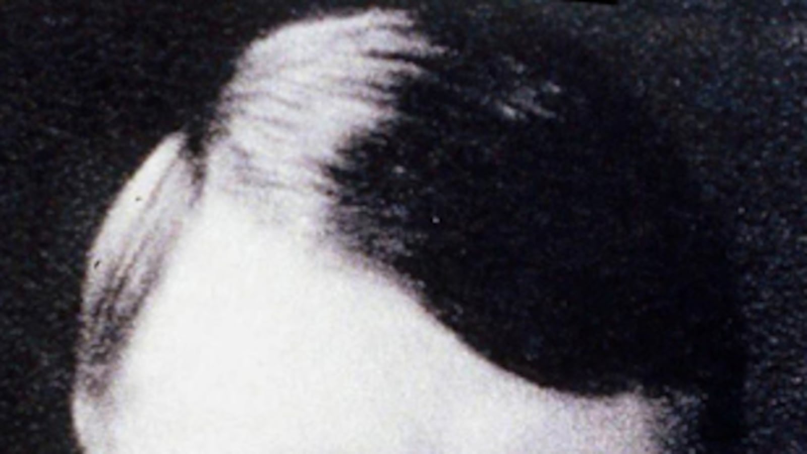 cheats/2011/04/27/hitler-stache-sets-off-manhunt/adolf-hitler_tv8dql