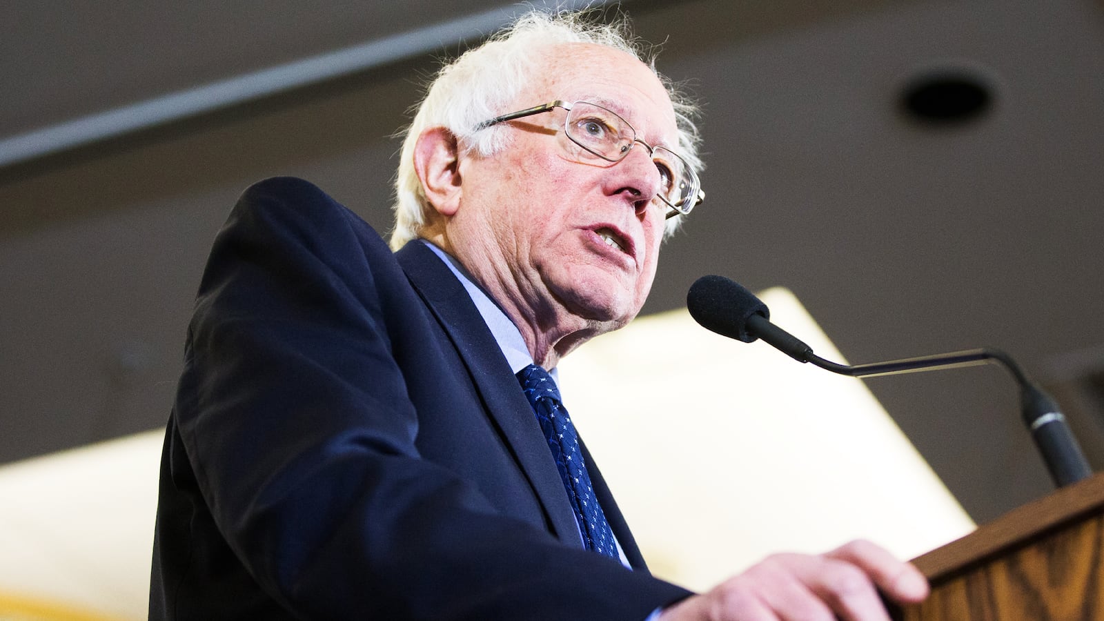 190403-Stein-Bernie-fox-tease_sww8gp