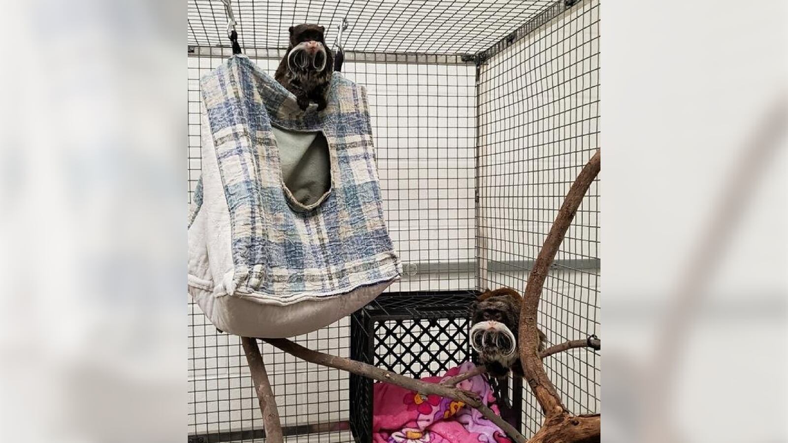 Blank_3000_x_1688_11_a7ve38