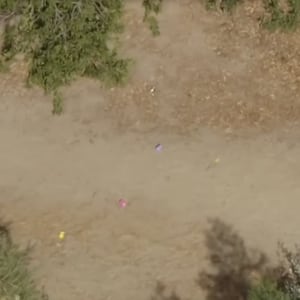 CBS News human skull