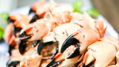 articles/2010/10/13/stone-crab-season-opens-friday-october-15/powers-stone-crab_133578_hiwtq6