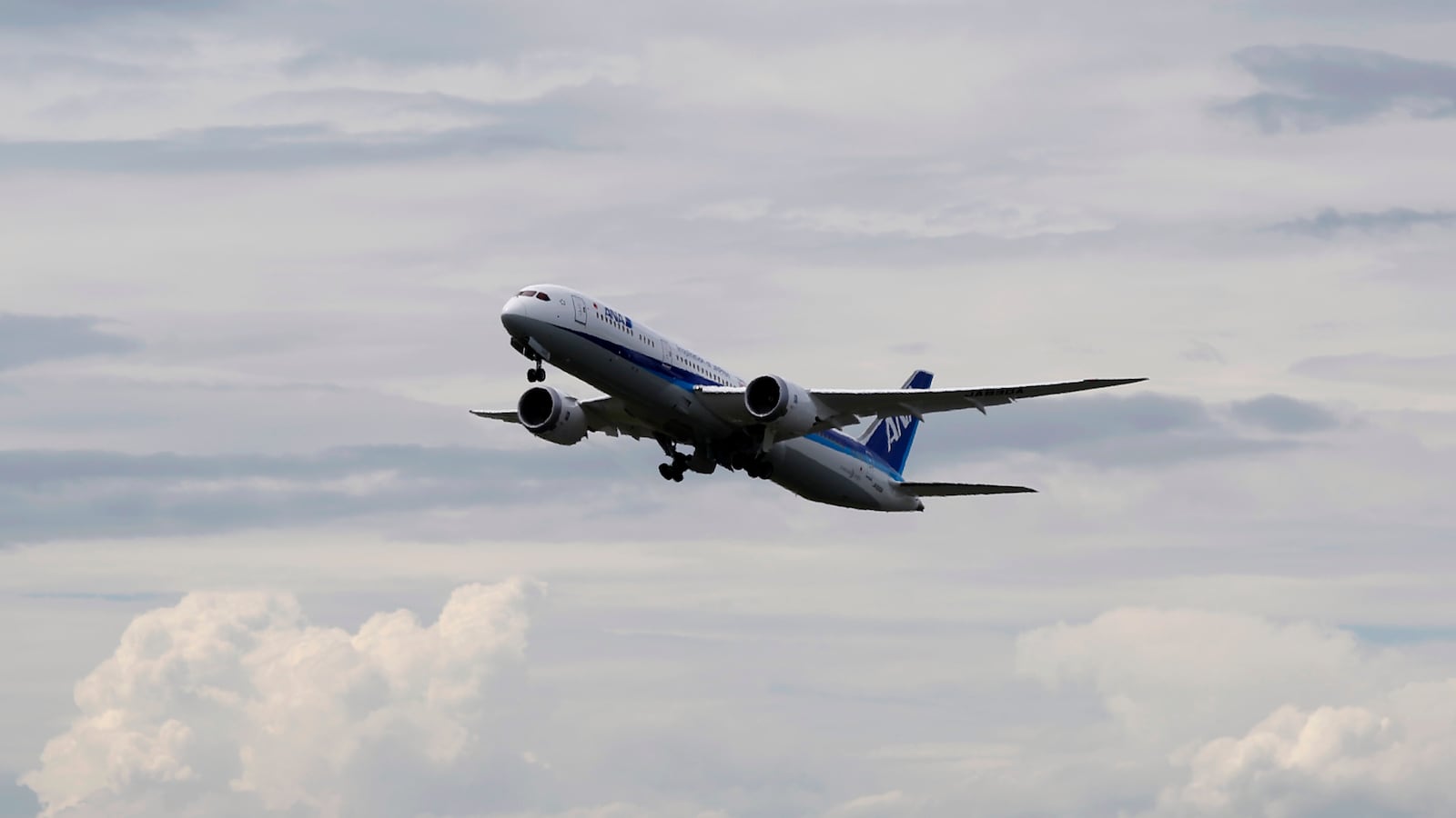 An All Nippon Airways (ANA) Boeing 787-9 Dreamliner airplane flies after a ceremony at Haneda airport in Tokyo August 4, 2014.