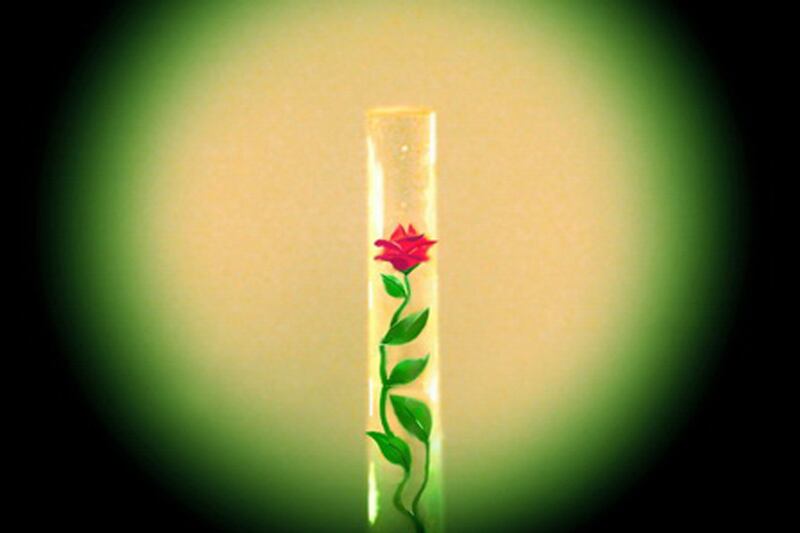 articles/2016/10/16/kiev-s-museum-of-microminiatures-the-biggest-collection-of-tiny-things/161015-o-connor-rose-inside-hair-embed-04_cw5wpo