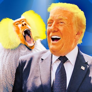 A photo illo illustration of Donald Trump, a baboon and the NATO logo.