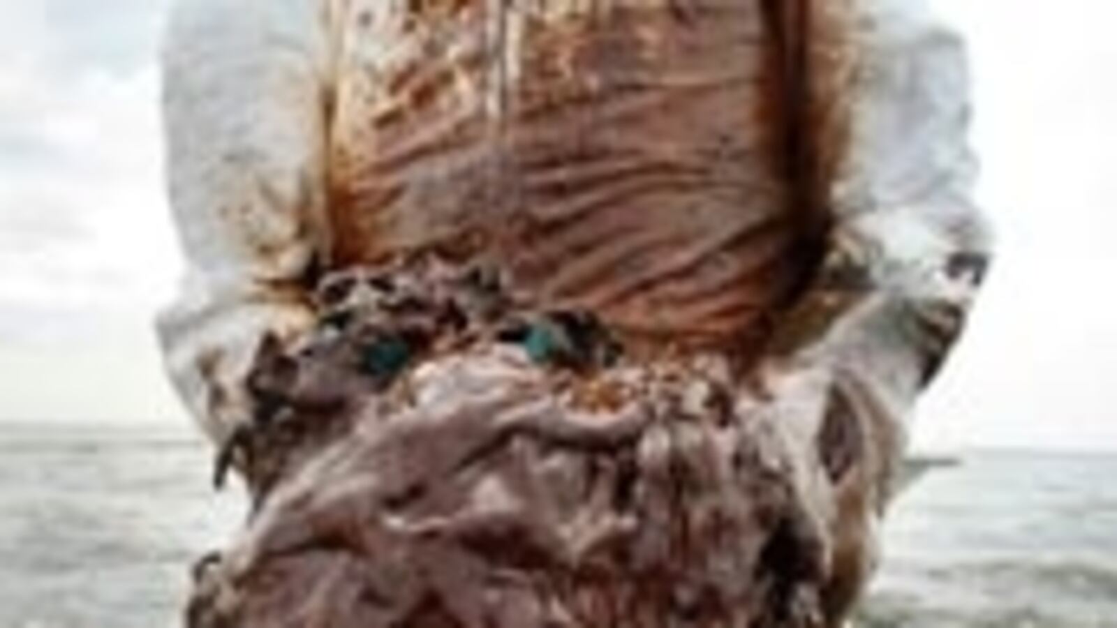 articles/2010/06/05/can-explosives-stop-the-oil-spill/browfield-blow-up-oil_osbbsx