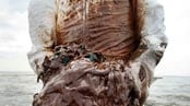 articles/2010/06/05/can-explosives-stop-the-oil-spill/browfield-blow-up-oil_osbbsx