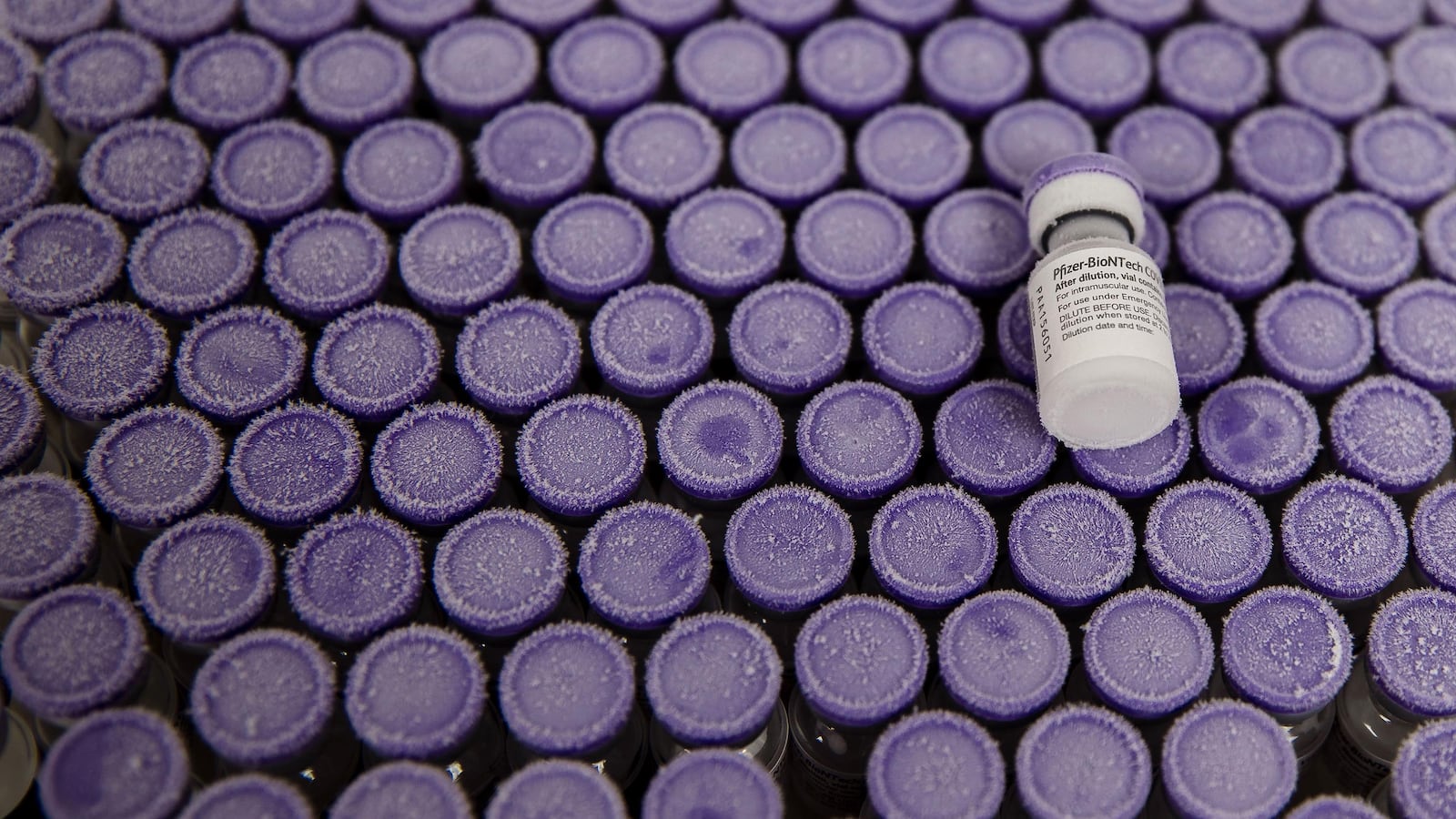 210120-shugerman-covid-vaccines-tease_fcfj9n