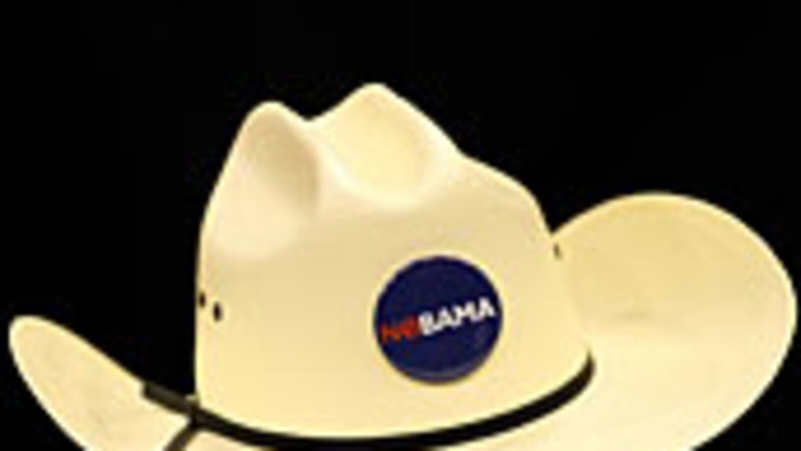 articles/2009/01/25/the-land-that-obama-forgot/nicks-nobama_11393_dbl1ka