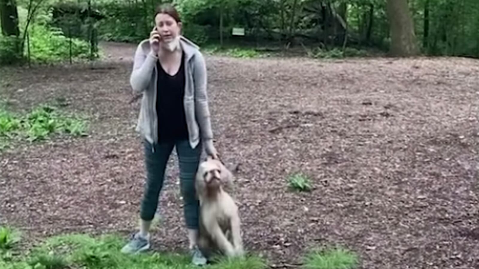 210216-owens-amy-cooper-tease_gbfv0y