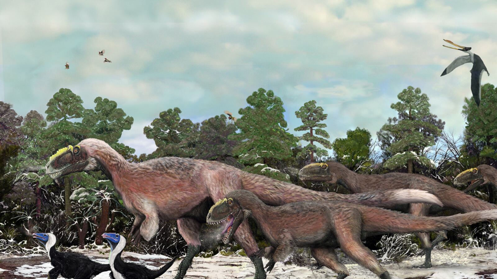 cheats/2012/04/04/some-dinos-had-feathers-fossils-show/feathered-dinosaurs-china-cheat_hs8rdd