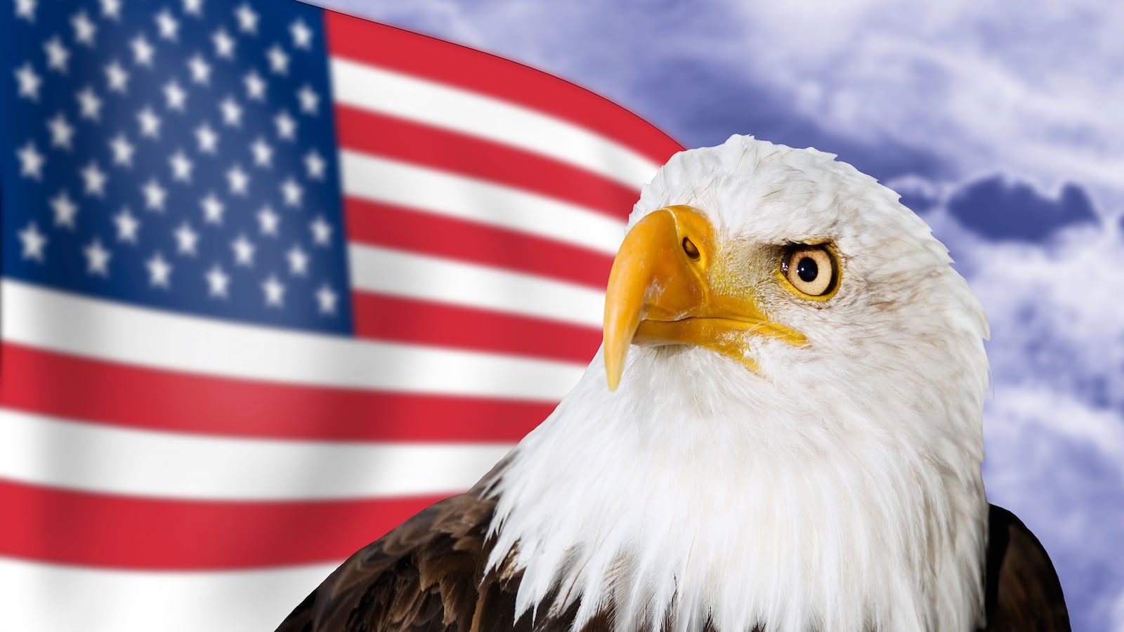 articles/2015/04/11/if-you-only-read-one-book-about-libertarianism/150410-gillespie-libertarianism-tease_sbnjiq