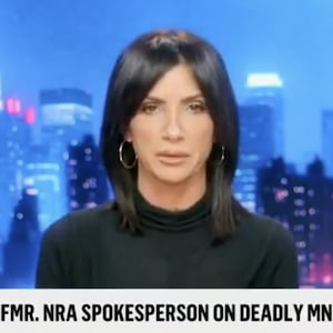Dana Loesch, the former spokesperson for the National Rifle Association.
