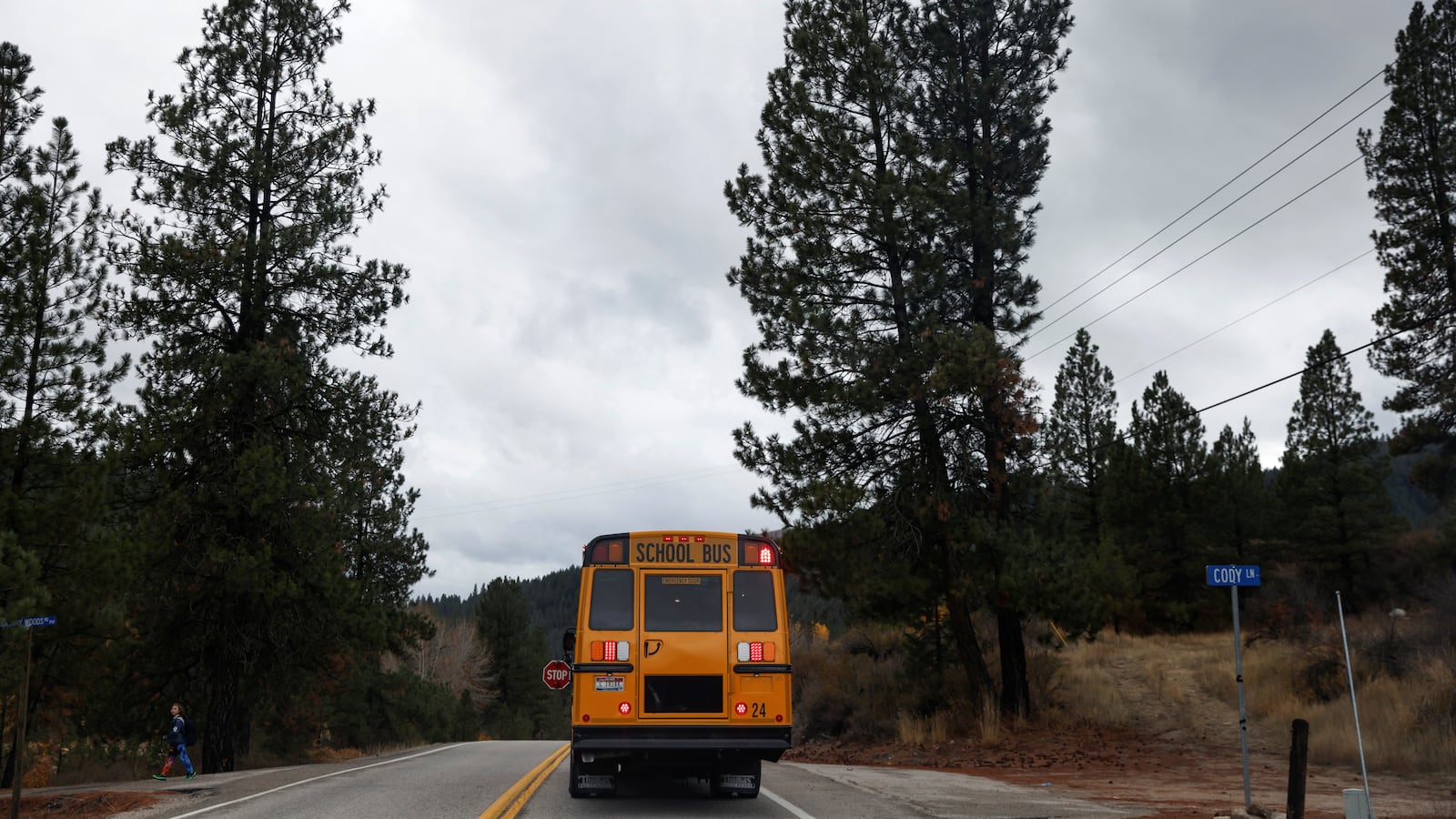 A yellow school bus drops off a child.