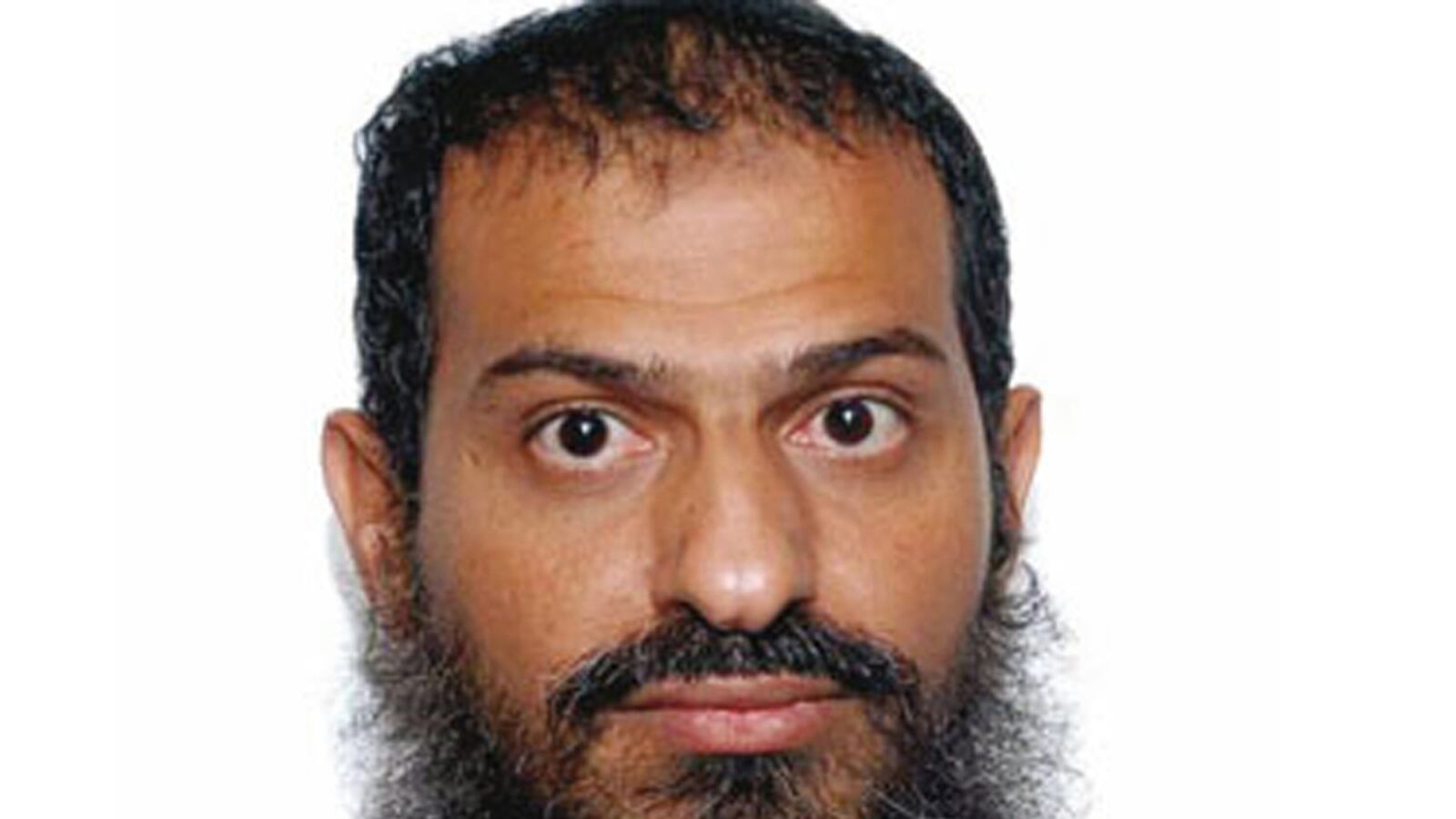 cheats/2012/09/10/al-qaeda-s-no-2-in-yemen-killed/yemen-saeed-al-shihri-al-qaida-killed-cheat_nqaqe1