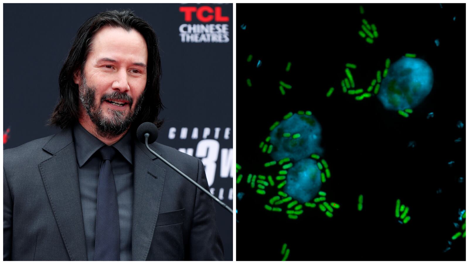 Side-by-side: Keanu Reeves; a scan of the molecule
