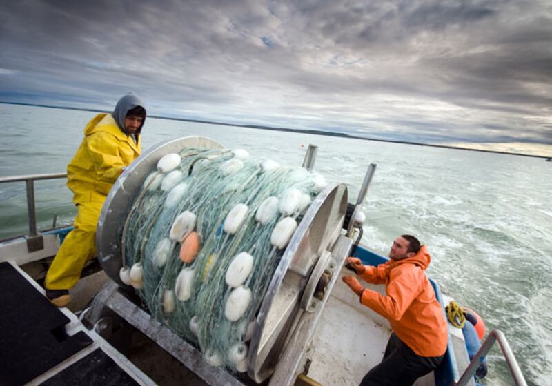 galleries/2010/04/07/dangerous-jobs/dangerous-jofishing_vm3rdx