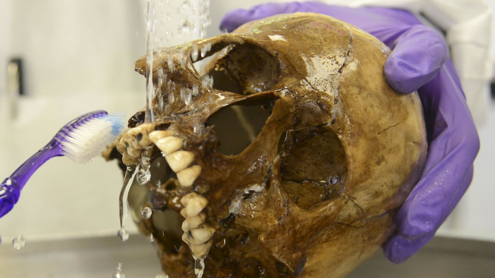 articles/2015/08/02/where-are-the-bodies-buried-in-colombia/150801-mccoll-columbia-bodies-tease_emkm5b