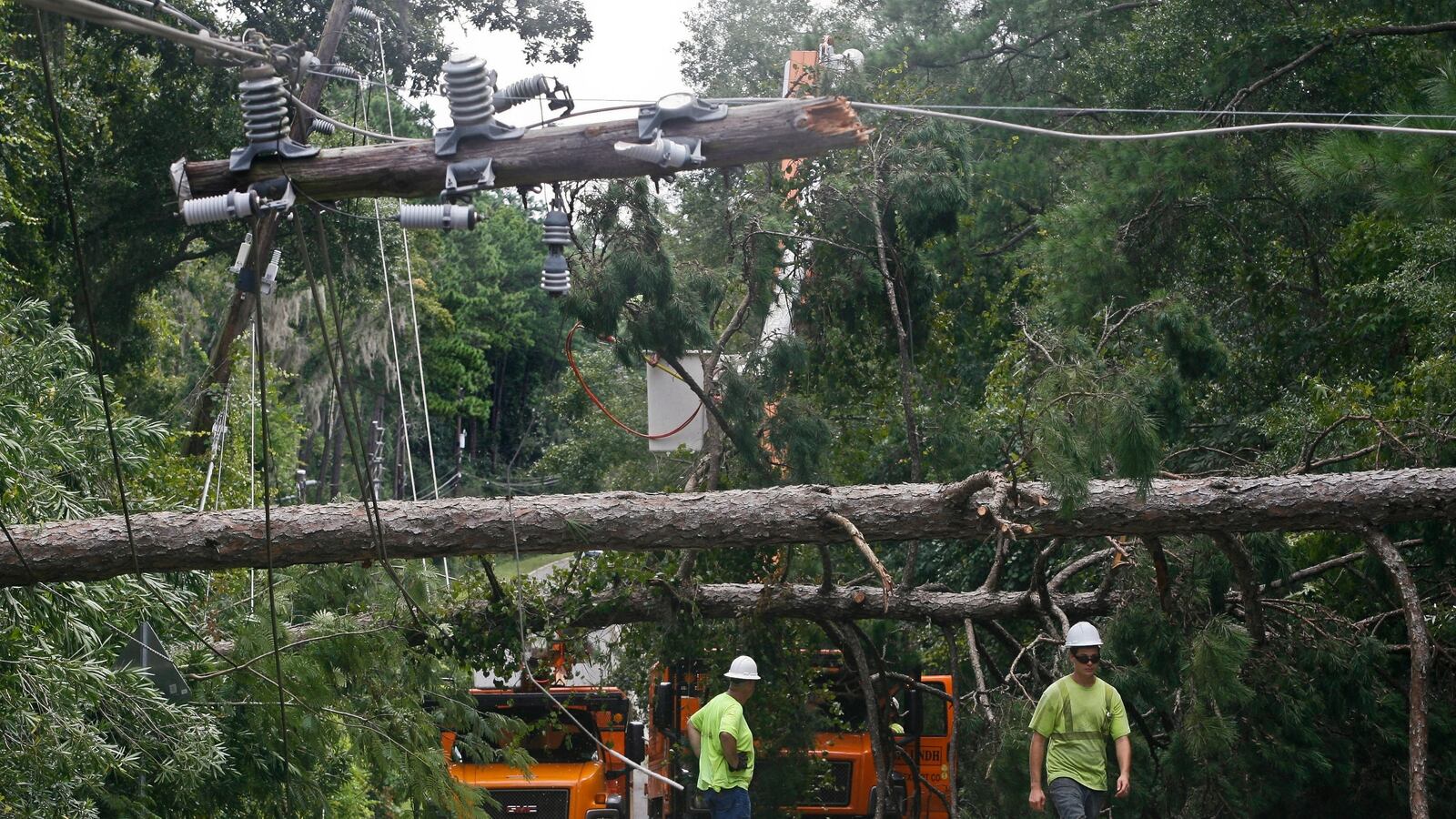 cheats/2016/09/03/300-000-without-power-in-fl-after-hurricane-hermine/160903-florida-hurricane-cheat_fymcks