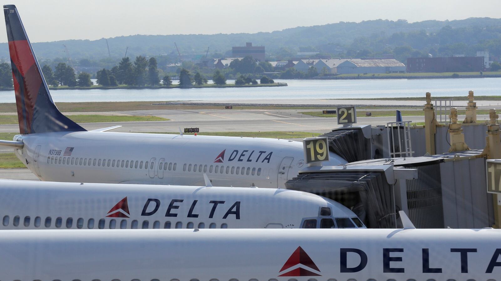 cheats/2016/11/27/delta-apologizes-for-not-removing-disruptive-pro-trump-passenger/161127-delta-incident-cheat_ziaf5t