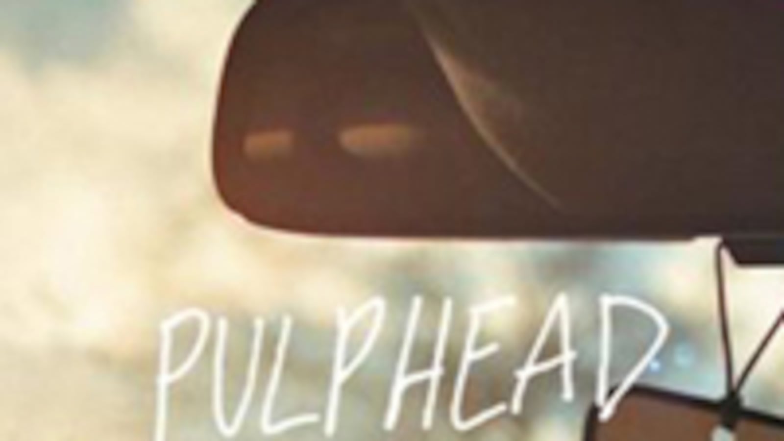 cheats/2011/12/12/wood-the-best-essayist-alive/pulphead-essays_qbbs5b