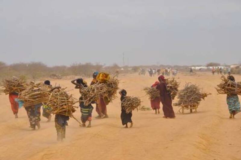 galleries/2011/08/24/cindy-mccain-in-africa/cindy-mccain-in-africa-7_cwuoer