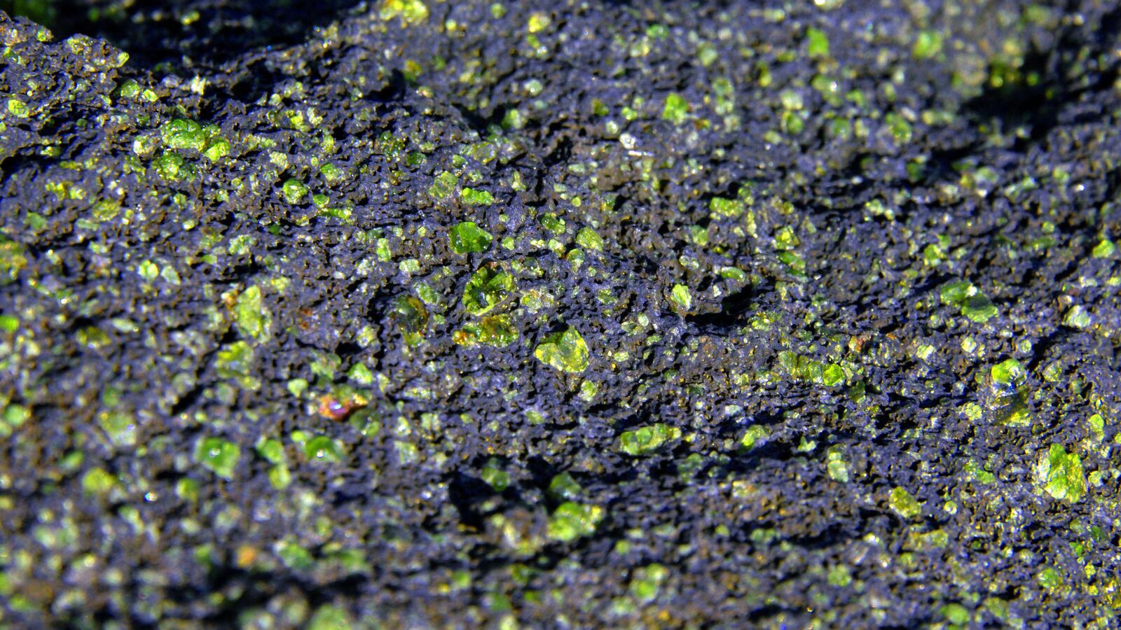 220320-olivine-beach-tease-01_xmj7dw