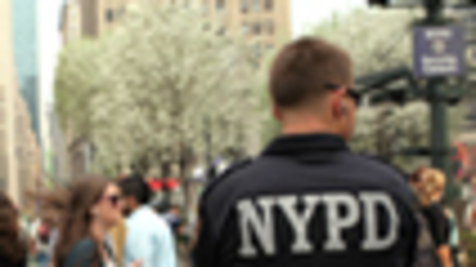 cheats/2011/05/31/nypd-rape-accuser-lsquomy-heart-brokersquo/ellison-nypd-rape_183592_euhwml