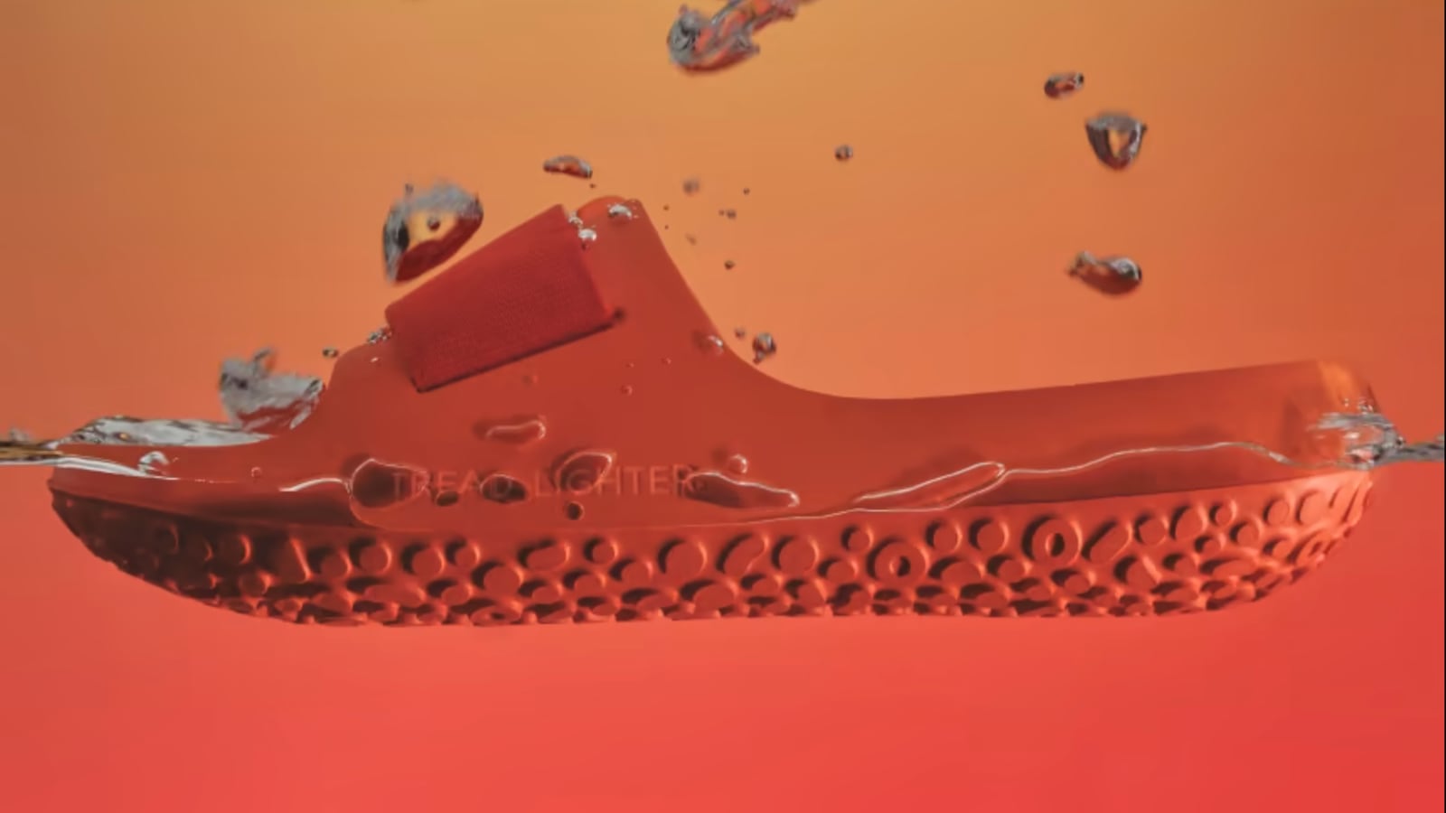 Allbirds sugar slides