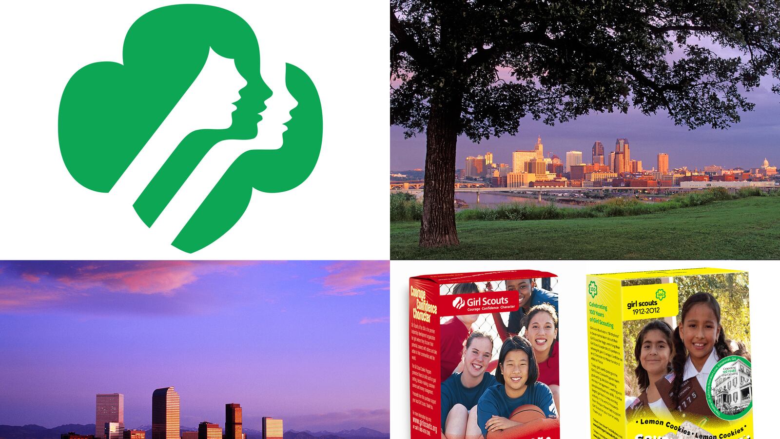 galleries/2012/01/20/girl-scout-cities-photos/girl-scout-cookies-tease_w0rux2