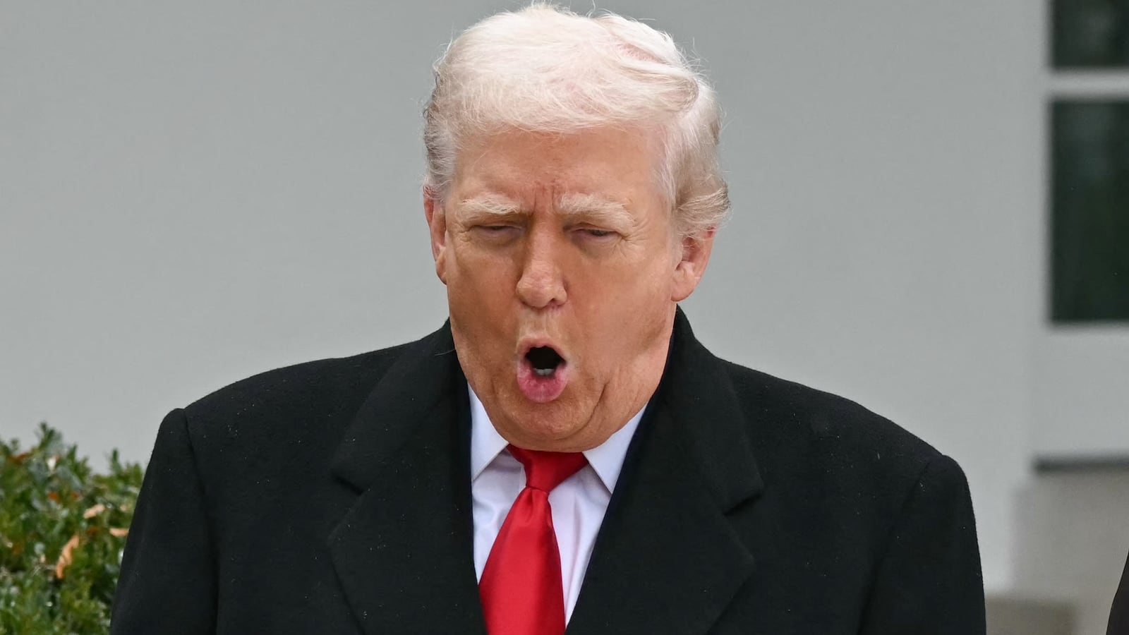 First Lady Melania Trump looks on as US President Donald Trump pardons Gobble, one of the National Thanksgiving turkeys, during the White House turkey pardon ceremony in the Rose Garden of the White House in Washington, DC on November 25, 2025.