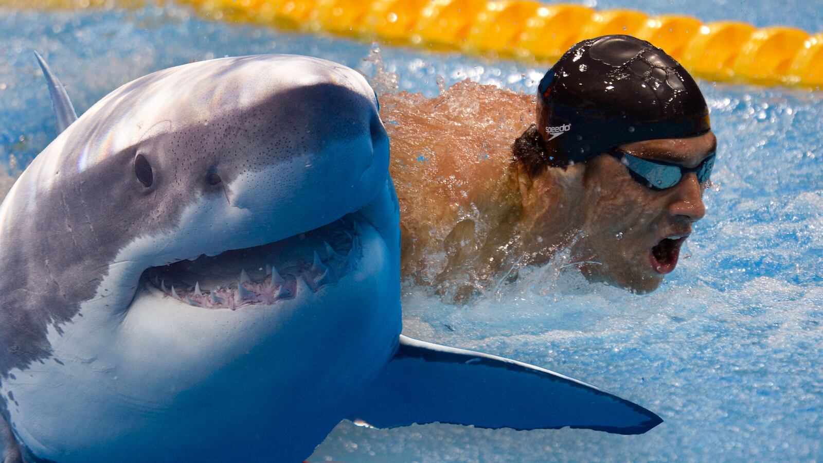 170723-Fallon-Michael-Shark-hero_ntipu6